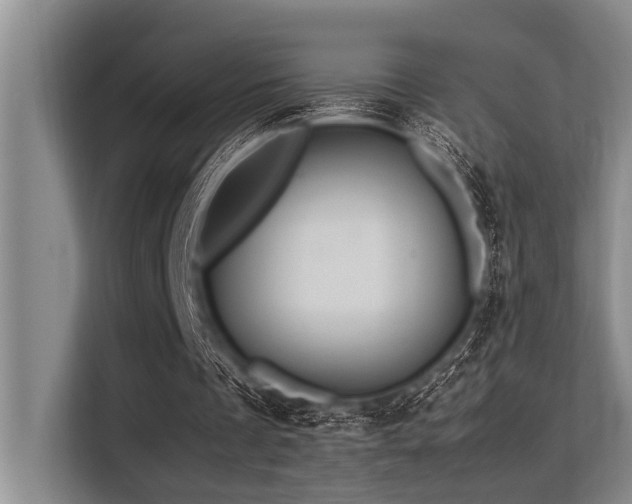 X0000113560289200909181225