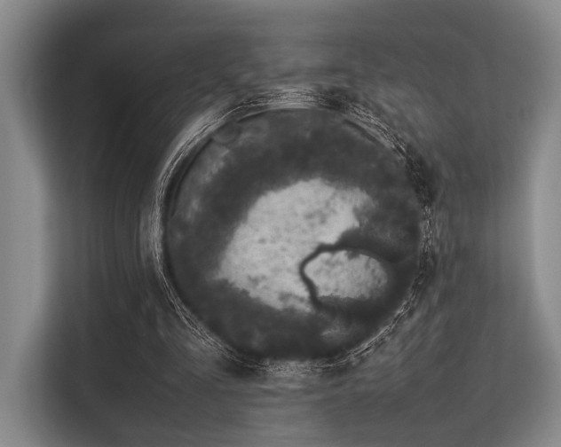 X0000113560293200909181225
