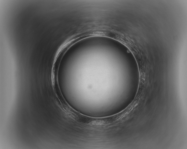 X0000113560294200909181225