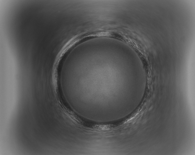 X0000113560295200909181225