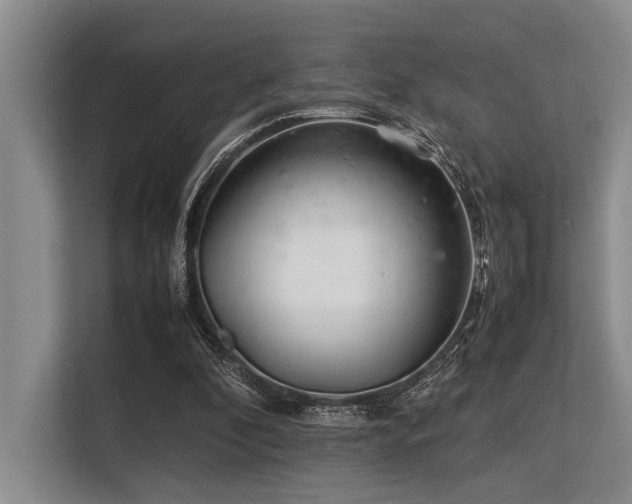 X0000113560296200909181225
