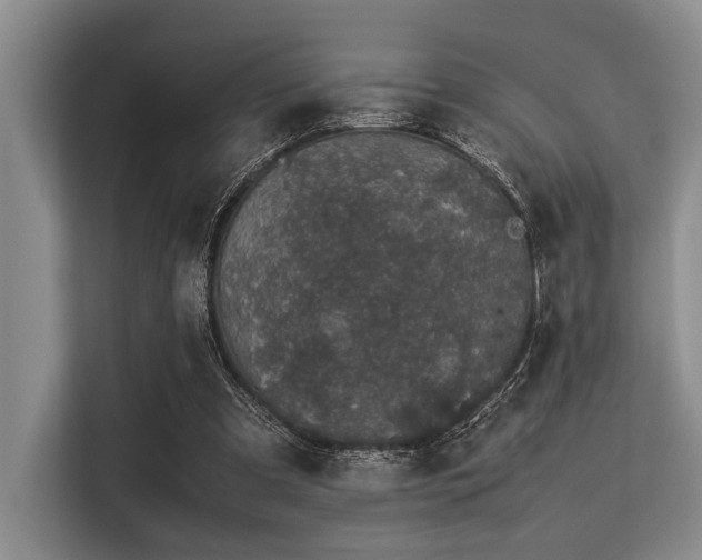 X0000113560297200909181225