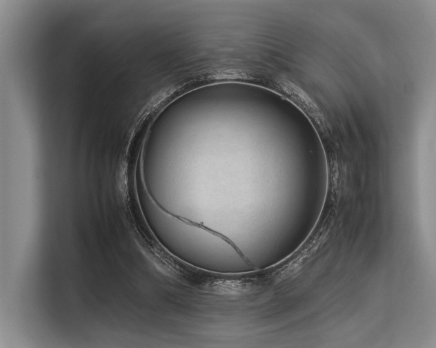 X0000113560298200909181225