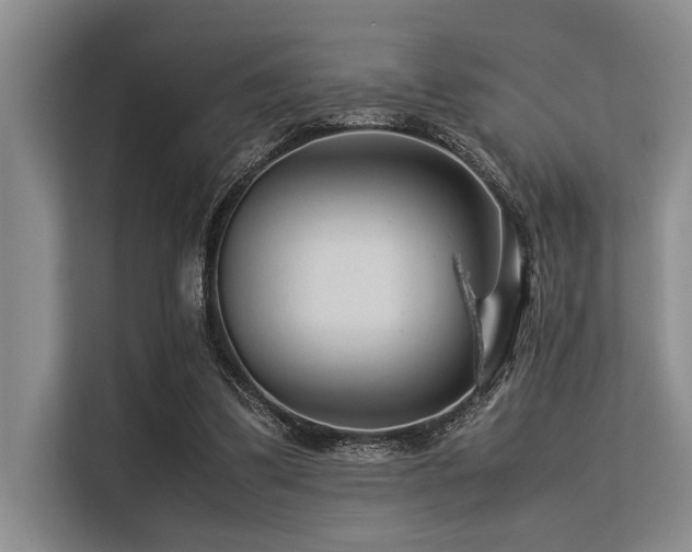 X0000113560299200909181225