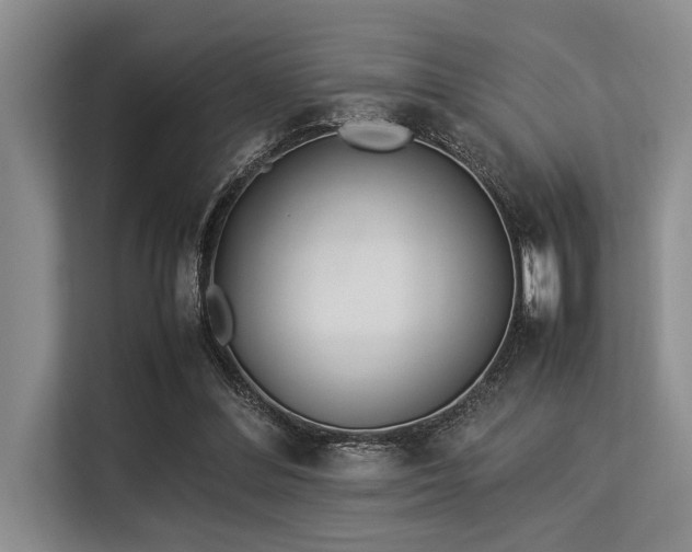 X0000113560300200909181225