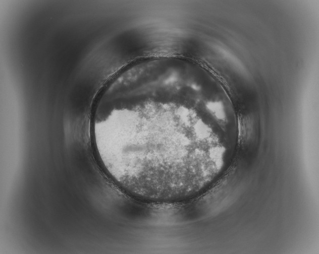 X0000113560301200909181225