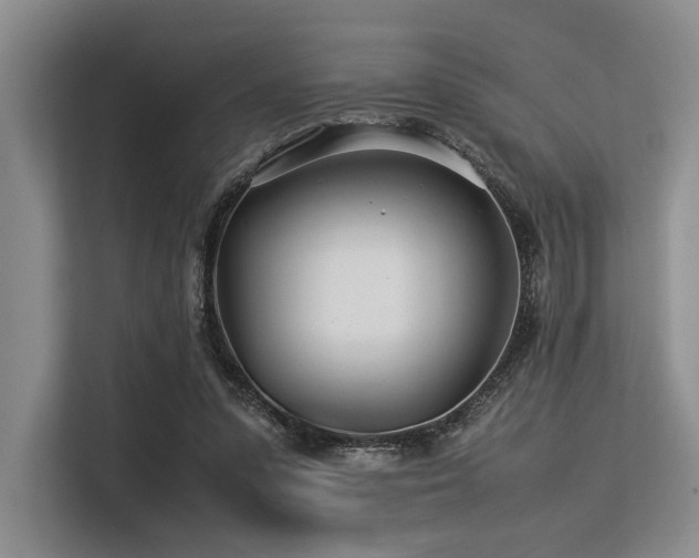 X0000113560303200909181225