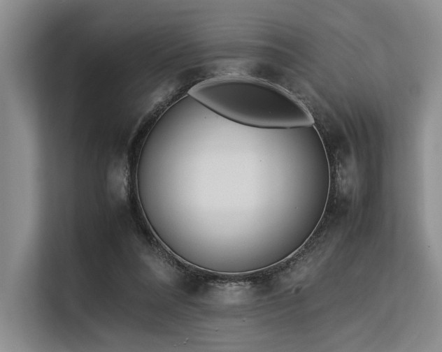 X0000113560304200909181225