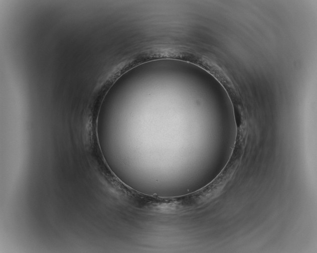 X0000113560306200909181225