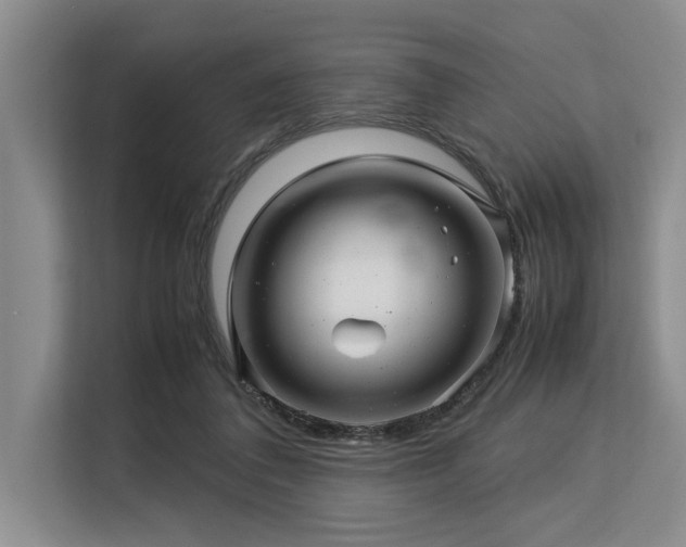 X0000113560308200909181225