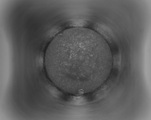 X0000113560309200909181225