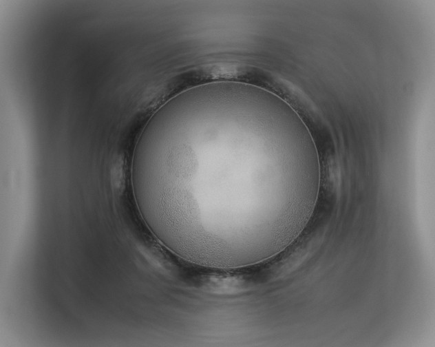 X0000113560311200909181225