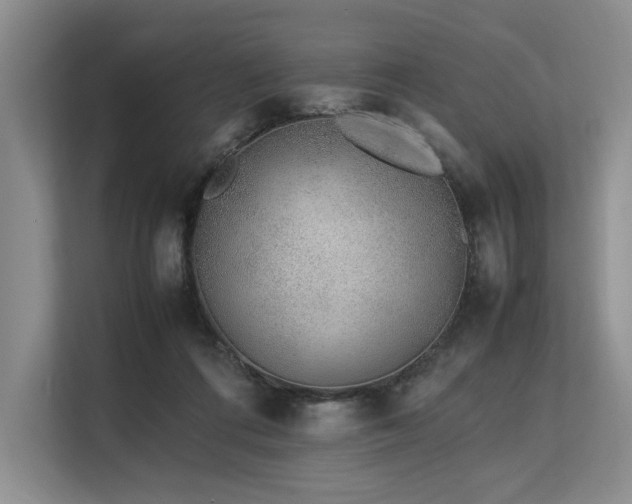 X0000113560312200909181225