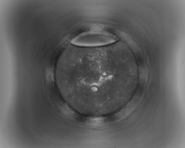 X0000113560313200909181225