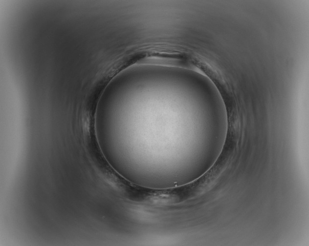 X0000113560315200909181225