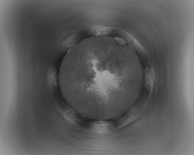 X0000113560316200909181225