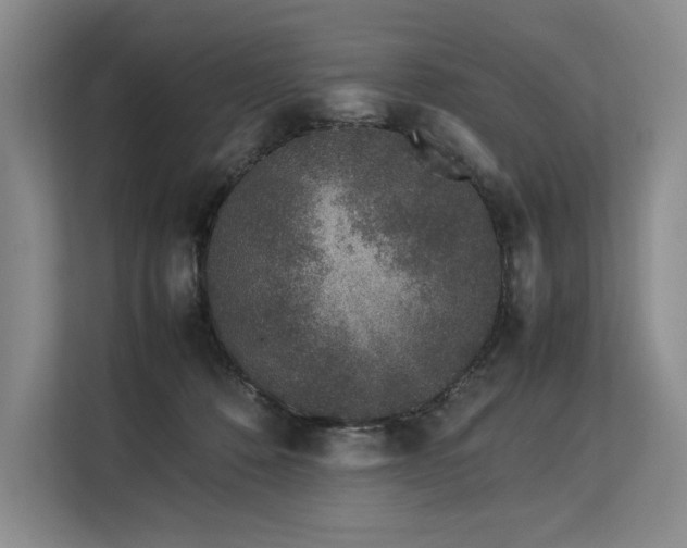 X0000113560320200909181225