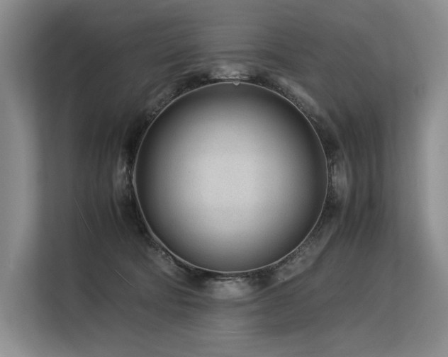 X0000113560322200909181225