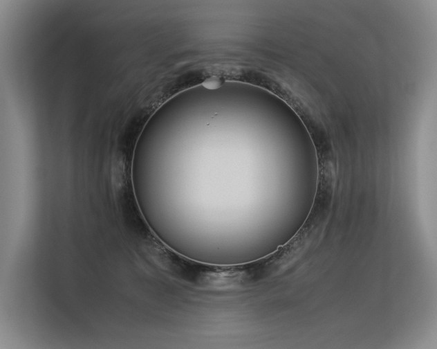 X0000113560323200909181224