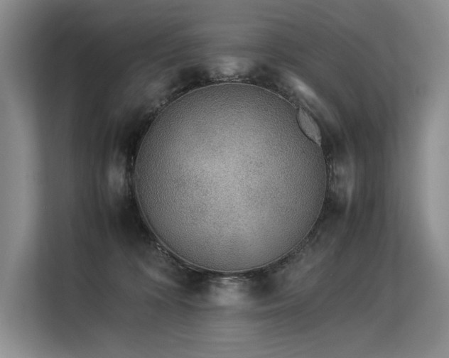 X0000113560324200909181224