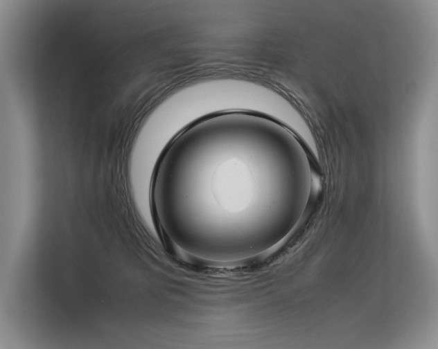 X0000113560325200909181224