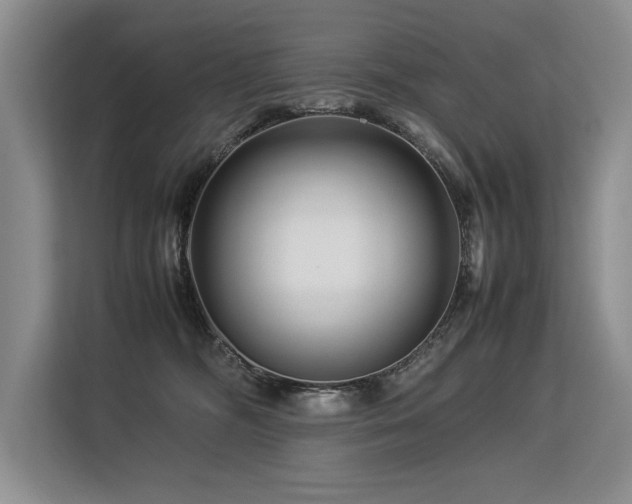 X0000113560326200909181224