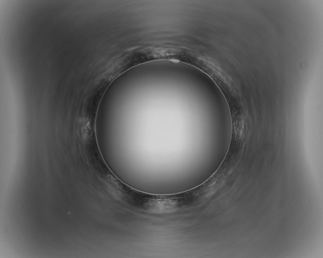 X0000113560327200909181224