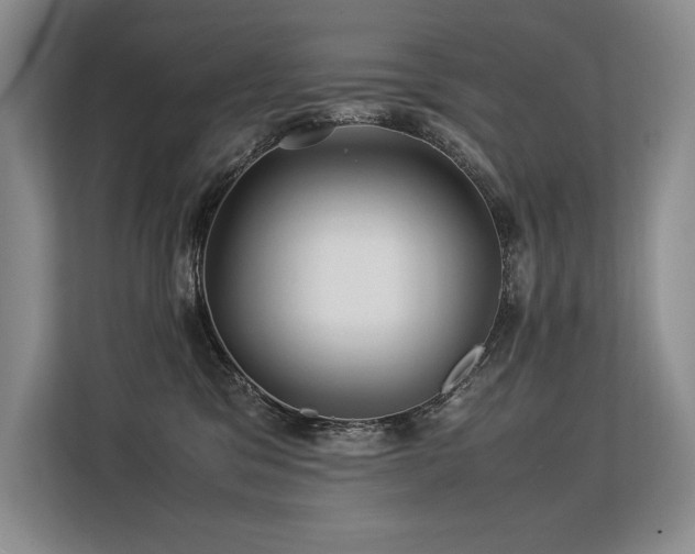 X0000113560329200909181224