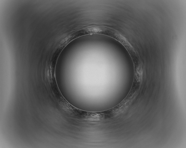 X0000113560330200909181224