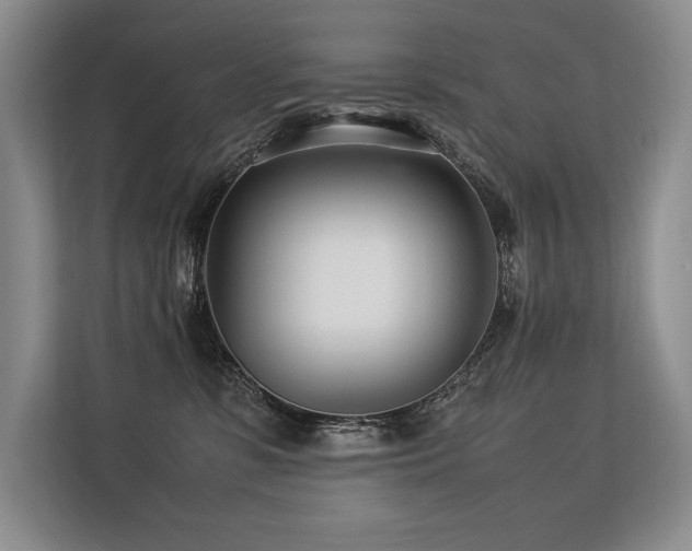 X0000113560331200909181224