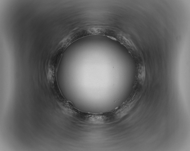 X0000113560332200909181224