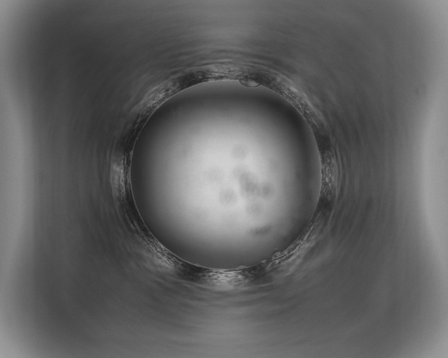 X0000113560333200909181224