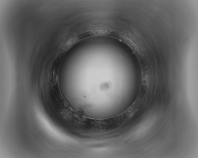X0000113560334200909181224
