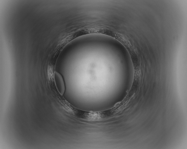 X0000113560335200909181224