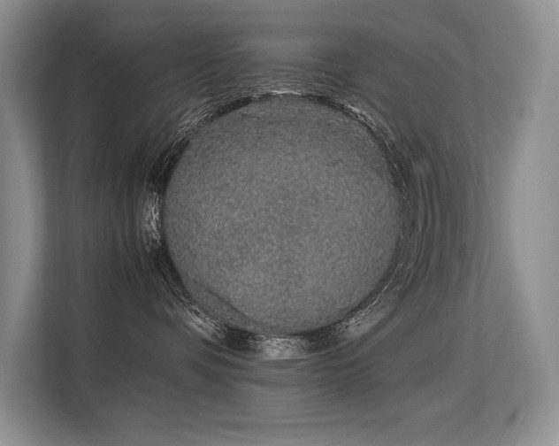 X0000113560336200909181224