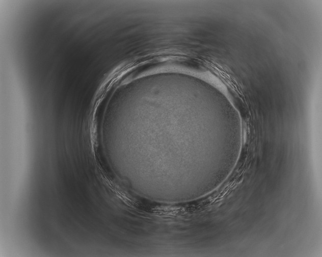 X0000113560339200909181224