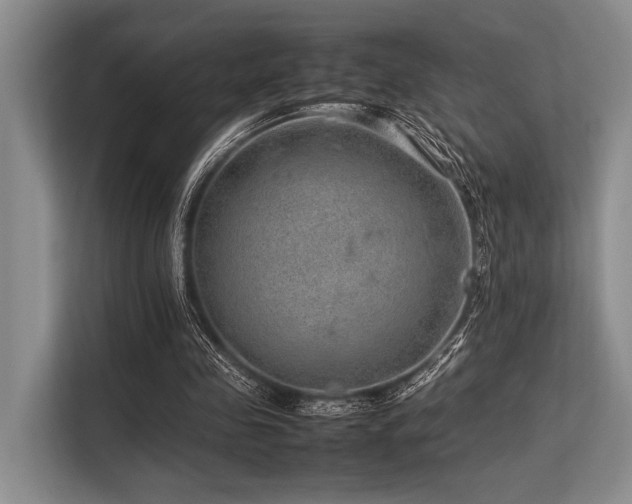 X0000113560341200909181224