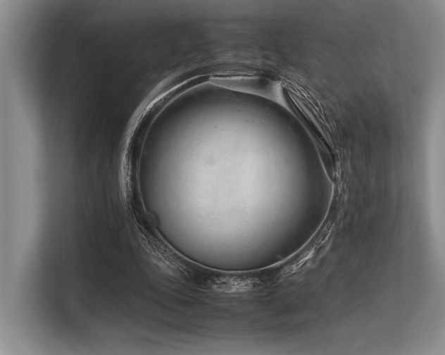 X0000113560343200909181224