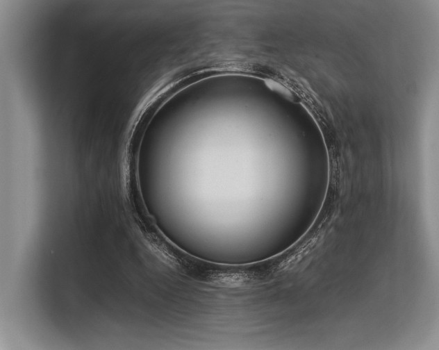 X0000113560344200909181224