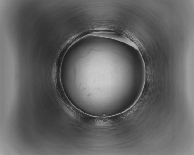 X0000113560346200909181224