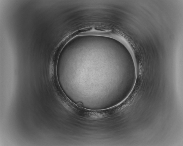 X0000113560347200909181224