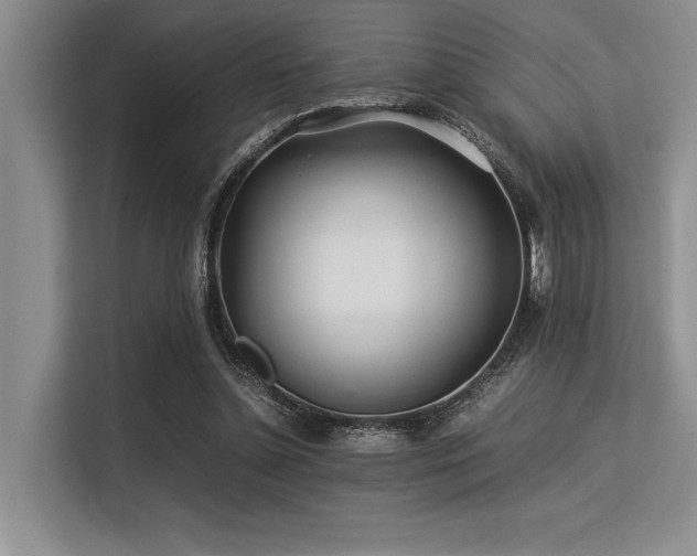 X0000113560348200909181224
