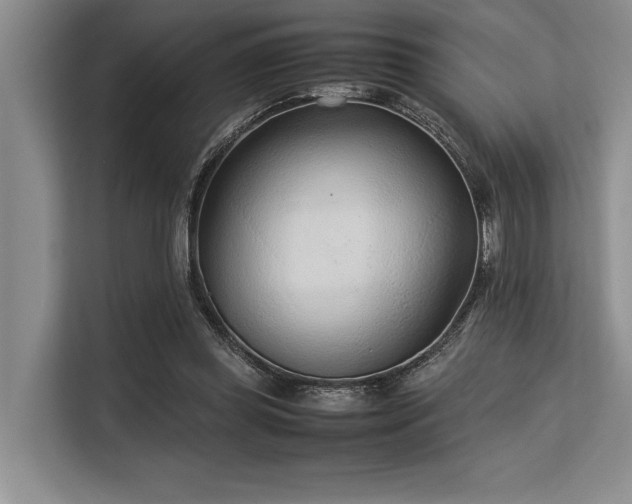 X0000113560349200909181224