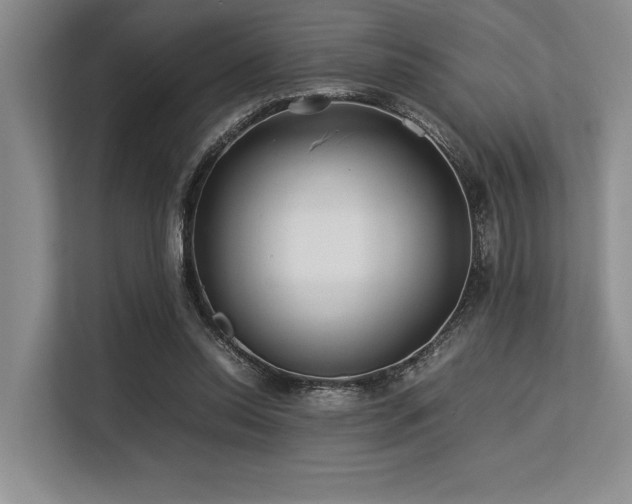 X0000113560350200909181224