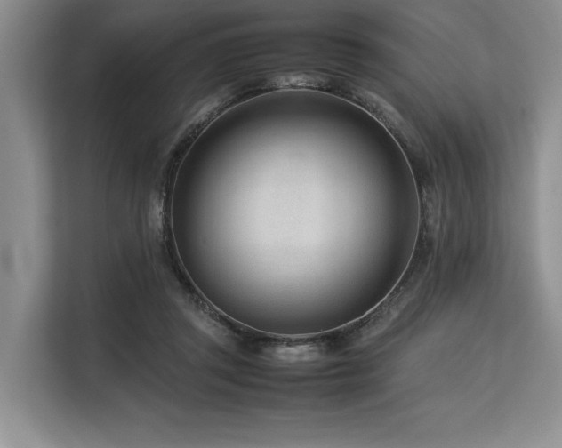 X0000113560357200909181224