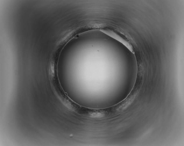X0000113560358200909181224