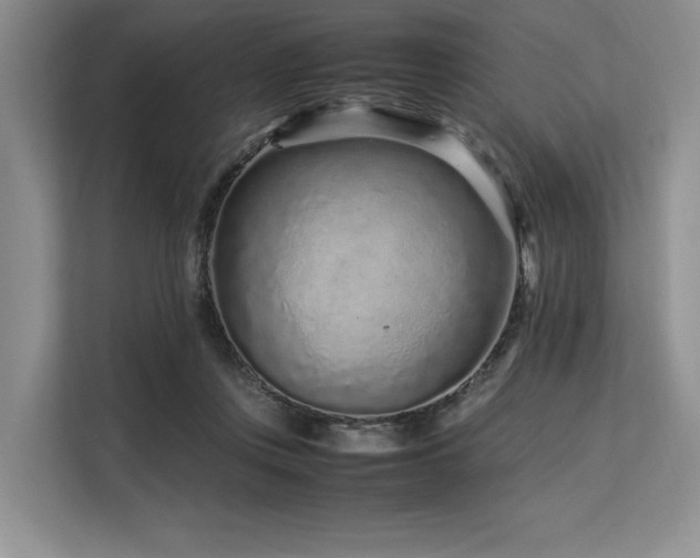 X0000113560359200909181224