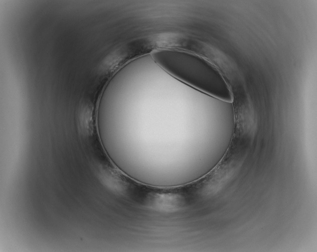 X0000113560360200909181224