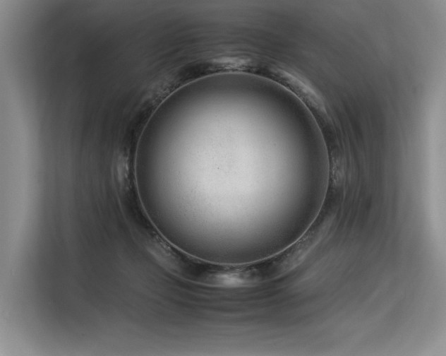 X0000113560365200909181224