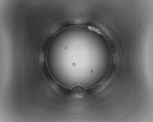 X0000113560368200909181224